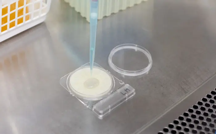 Inoculación directa de una muestra en una placa Compact Dry
